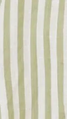 Laolani Shorts - Sage / White Stripe