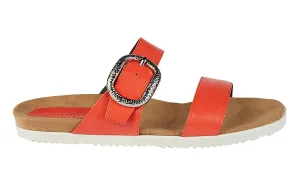 Mdf Quickbuy Coral