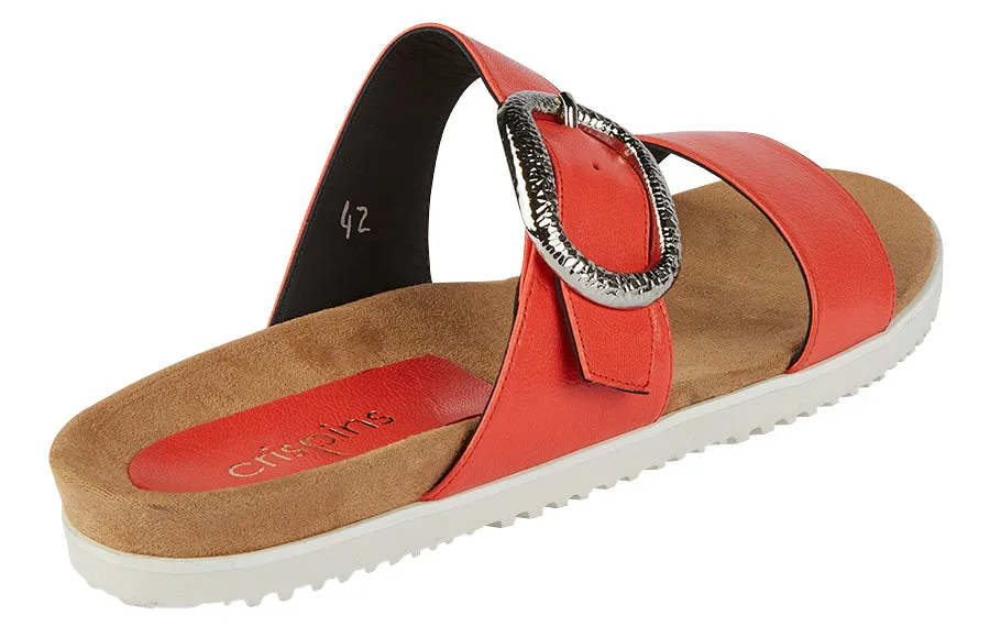 Mdf Quickbuy Coral